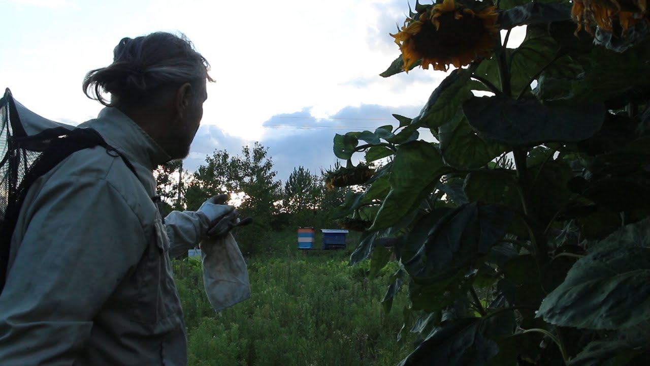 3 serija.  Dešimt nulis bičių naudai