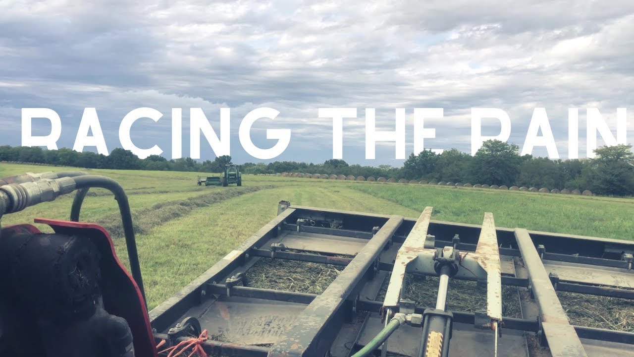 Racing the rain- AGAIN. 1000+ small square bales.