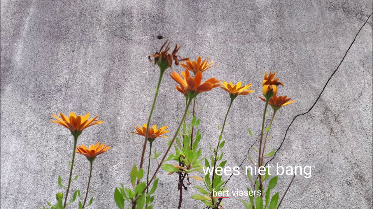 Wees niet bang