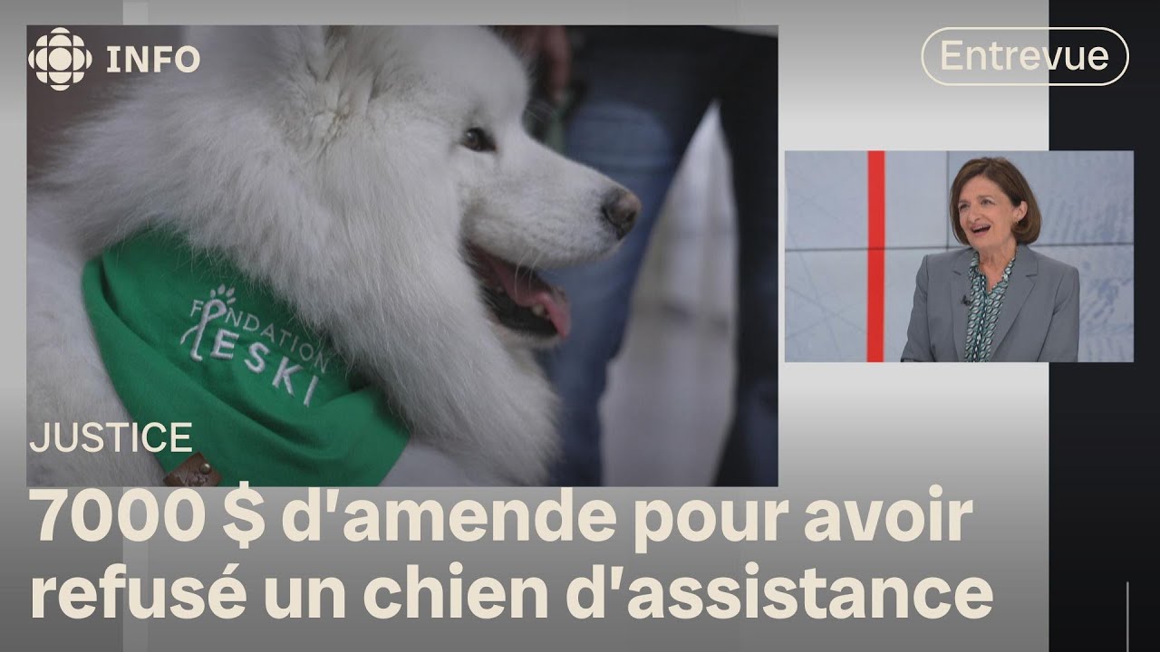 Logement : refuser un chien d'assistance constitue de la discrimination | Isabelle Richer