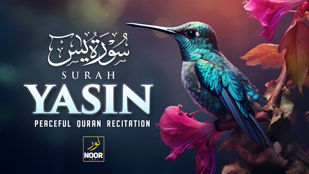 Surah Yaseen سورة يس | Peaceful Lofi Recitation for Stress Relief & Soft Nights | Noor Lofi