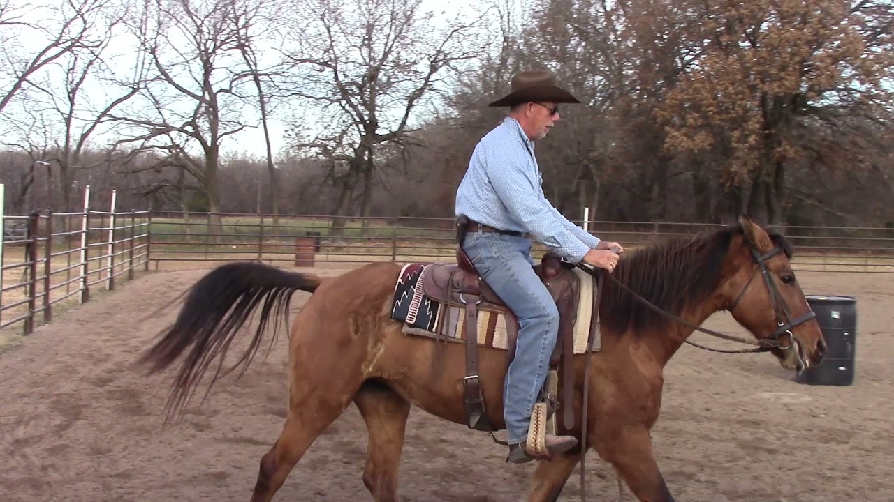 Kill Pen Mustang  Part 20  Getting Her Moving