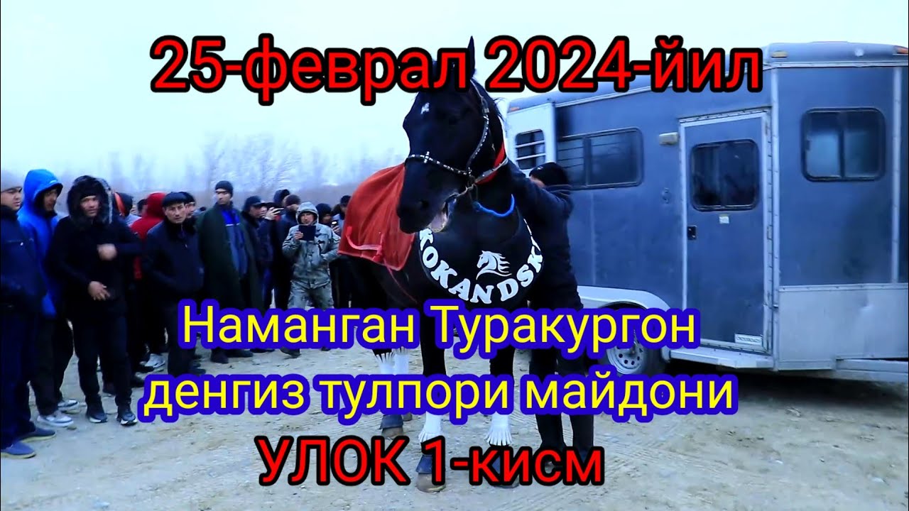 25 феврал 2024 НАМАНГАН денгиз тулпори Улок 1-кисм