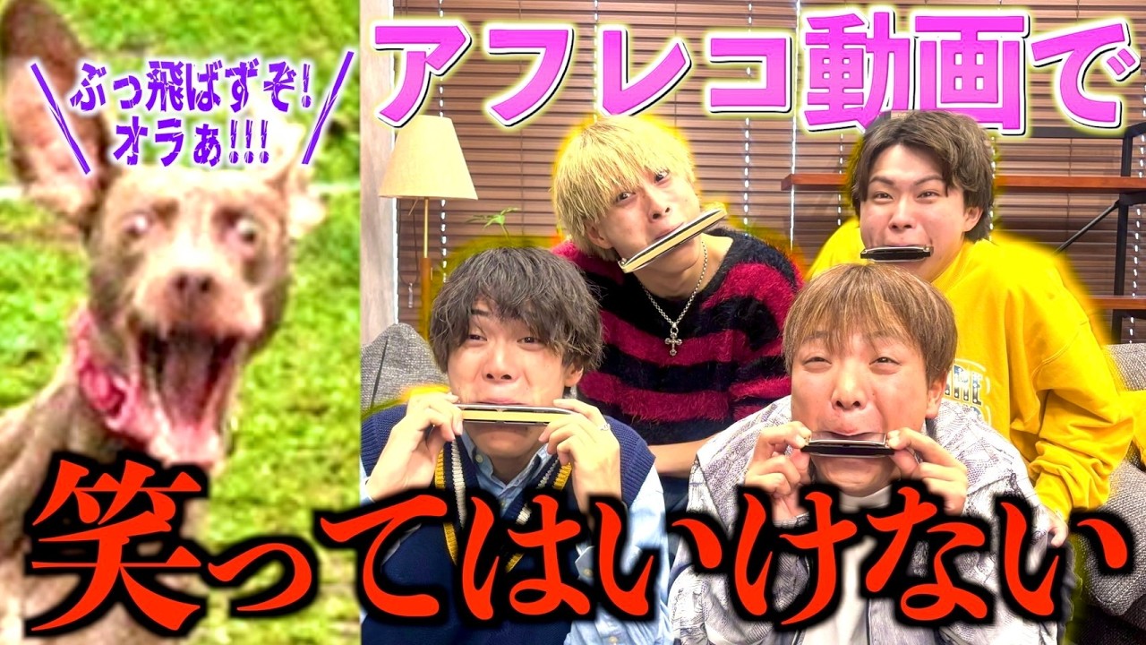 【爆笑】絶対に笑ってはいけないアフレコやったら新たな神作品が誕生しましたwww　#ジャスティスター