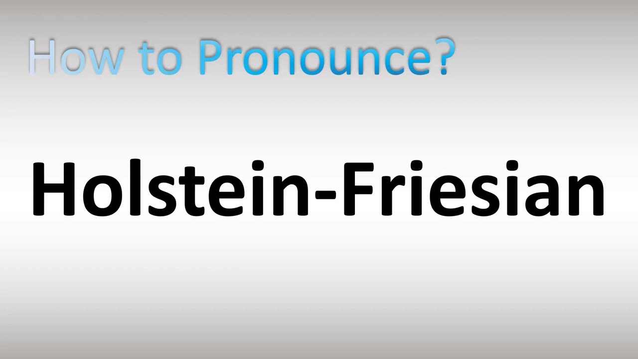 How to Pronounce Holstein-Friesian