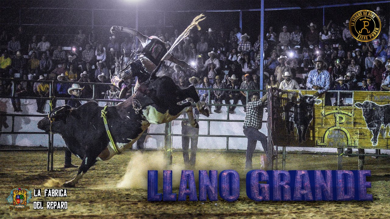 ¡¡¡ LANZÓ POR LOS AIRES A ESTE JINETE !!! SU NOMBRE ES: 