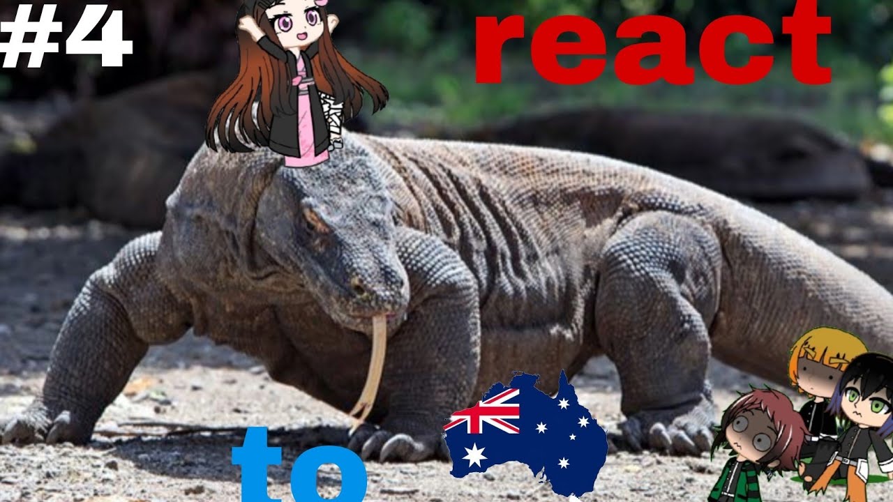 Demon Slayer React  to Australian Wildlife by Moreparz #4