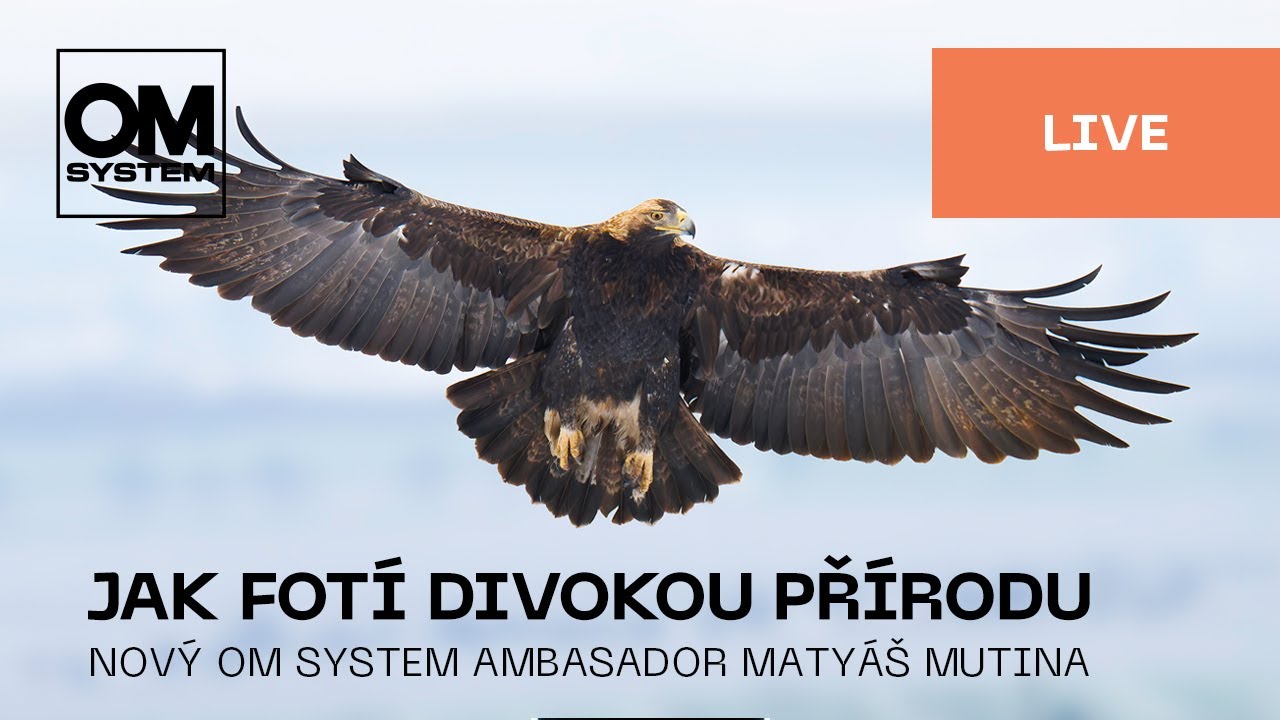 Česky | Jak fotí divokou přírodu nový OM SYSTEM ambasador Matyáš Mutina