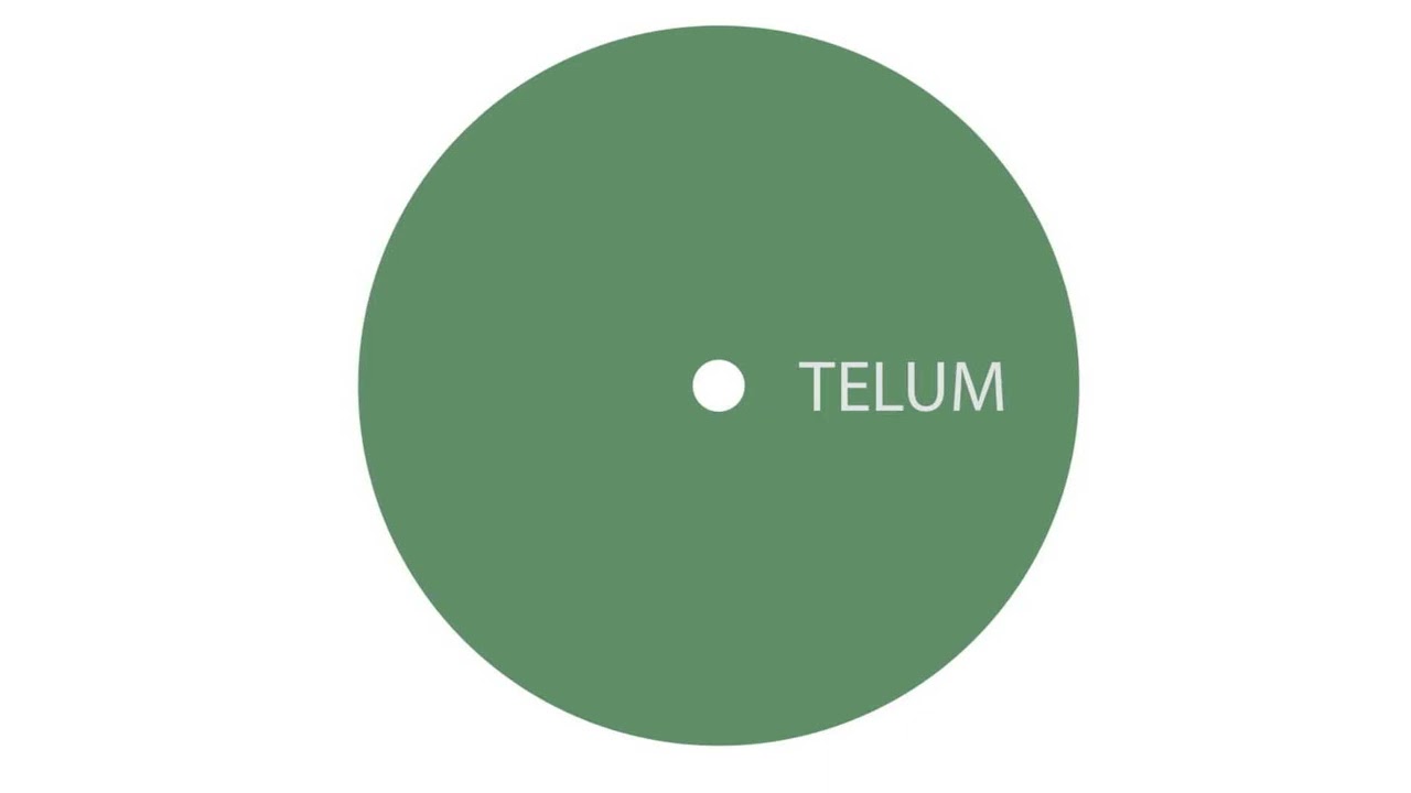 Unknown Artist - A1 Untitled [TELUM013]