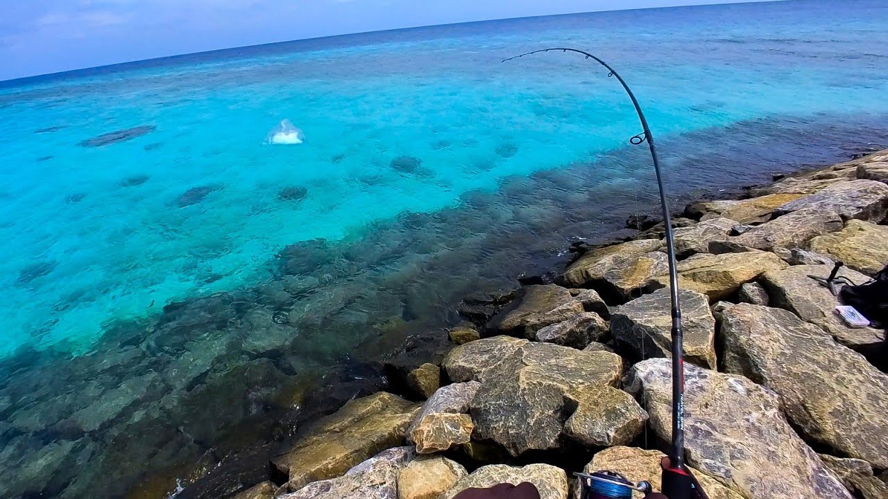 Почти схвачен гигантским ставридовым удилищем - GT Fishing Maldives