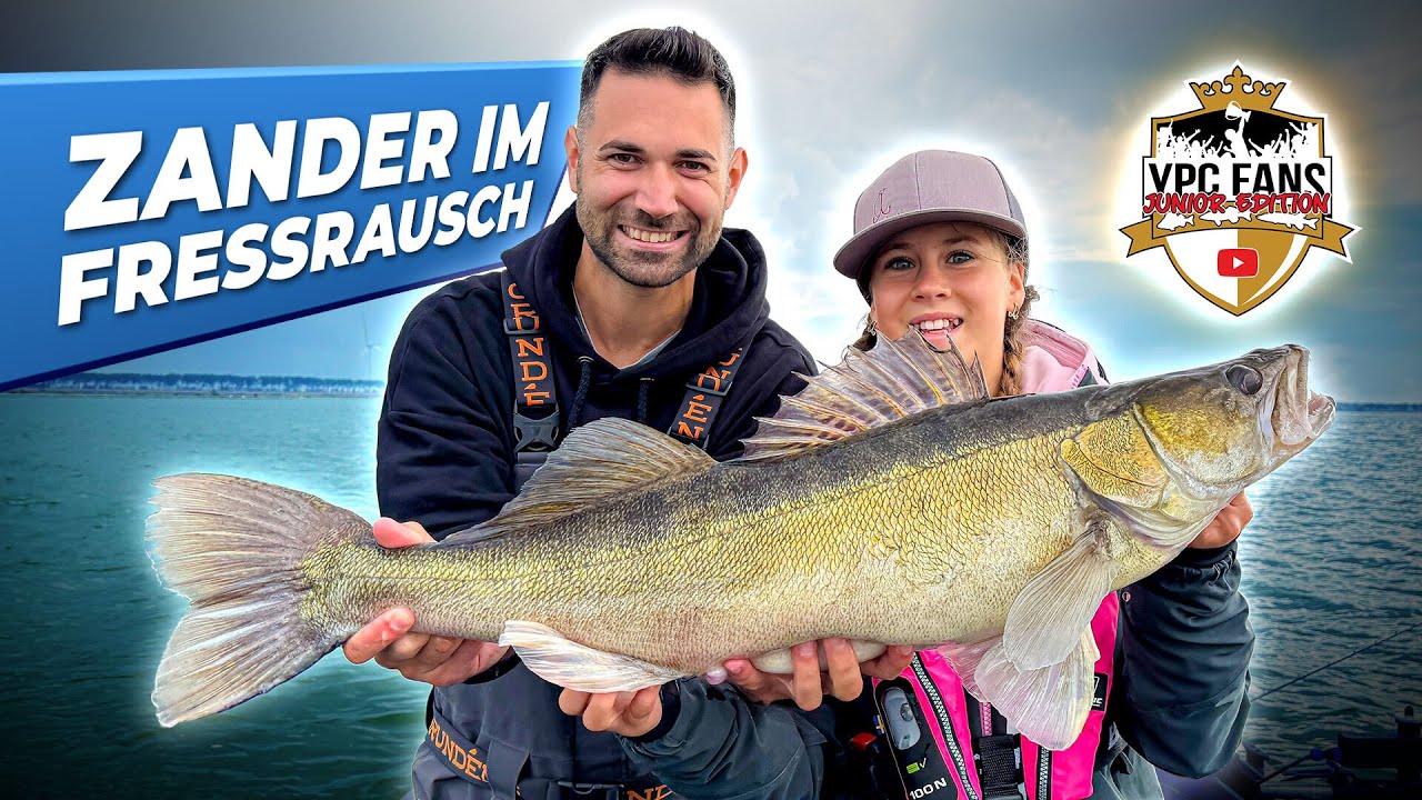 Zander im Fressrausch - Gewinnen wir so den YPC Fans Junior?