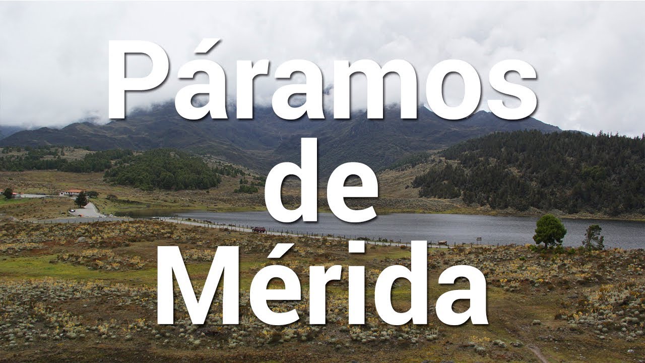 Páramos de Mérida | Tierra de Gracia