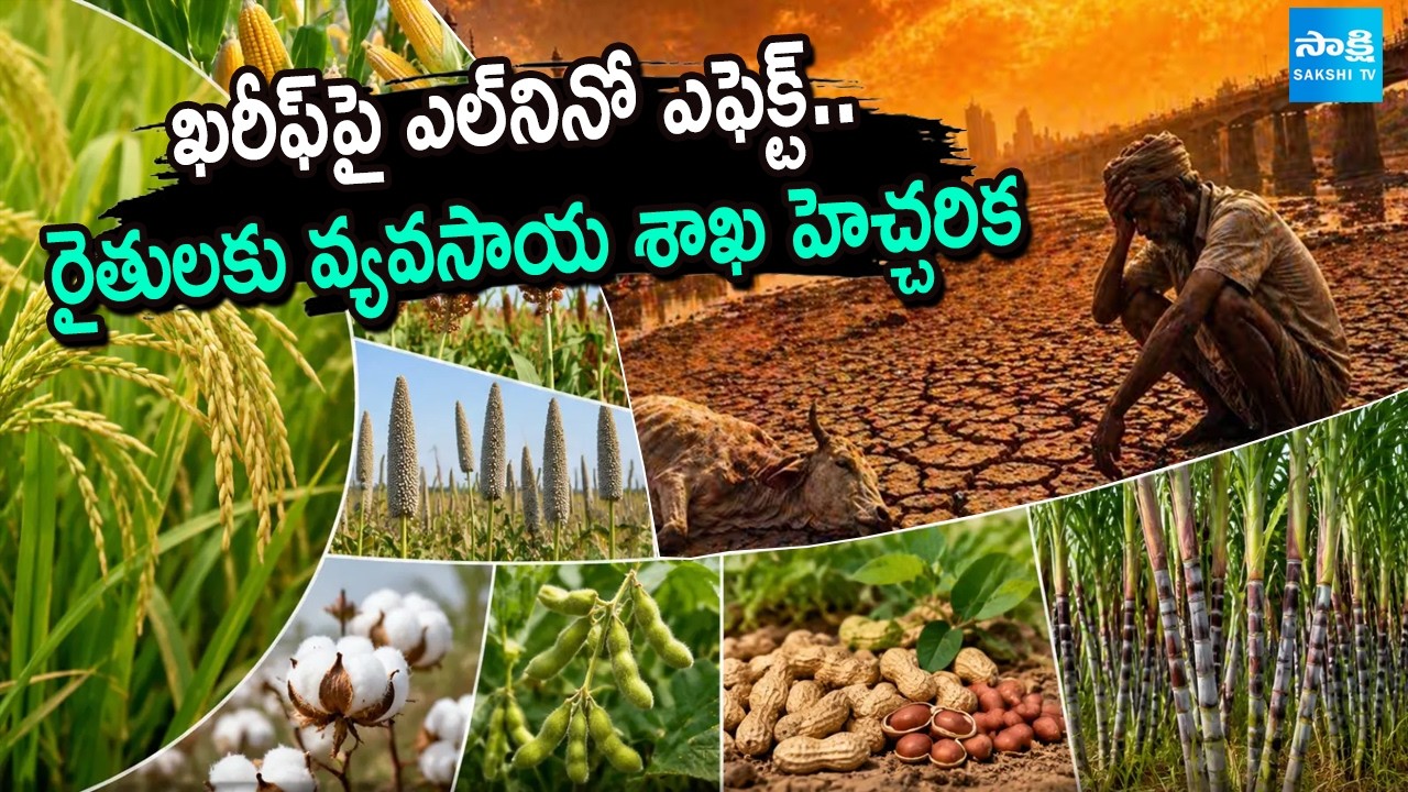 తక్కువ నీటి పంటలే మేలు! | Agriculture Department Director Gopi Warns El Ni&ntilde;o Impact Kharif Season