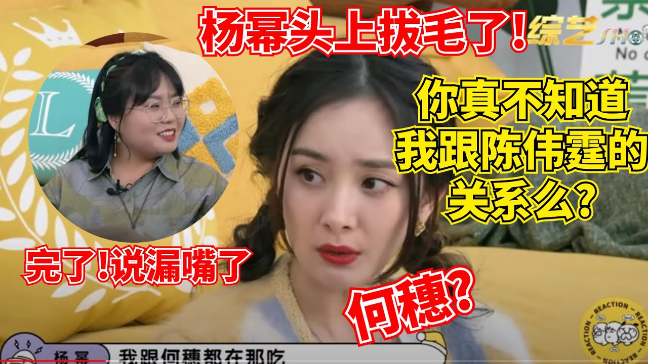 李雪琴在杨幂面前提何穗!气场太强!吓得李雪琴、毛不易不敢靠近！【毛雪汪】#综艺 #娱乐