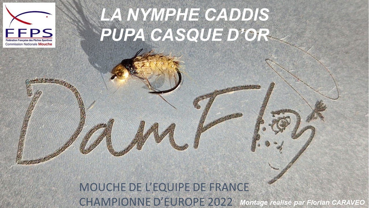 Nymphe Caddis Pupa casque d'or