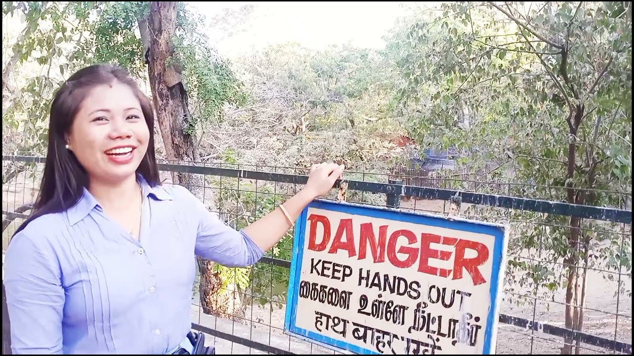 Cocrodile 🐊 Bank !! Chennai to Pondicherry Highway !! Sormila Vlogs Chennai