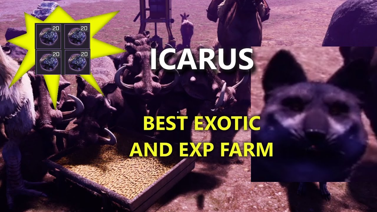 Best open world exotic and exp farm | Icarus