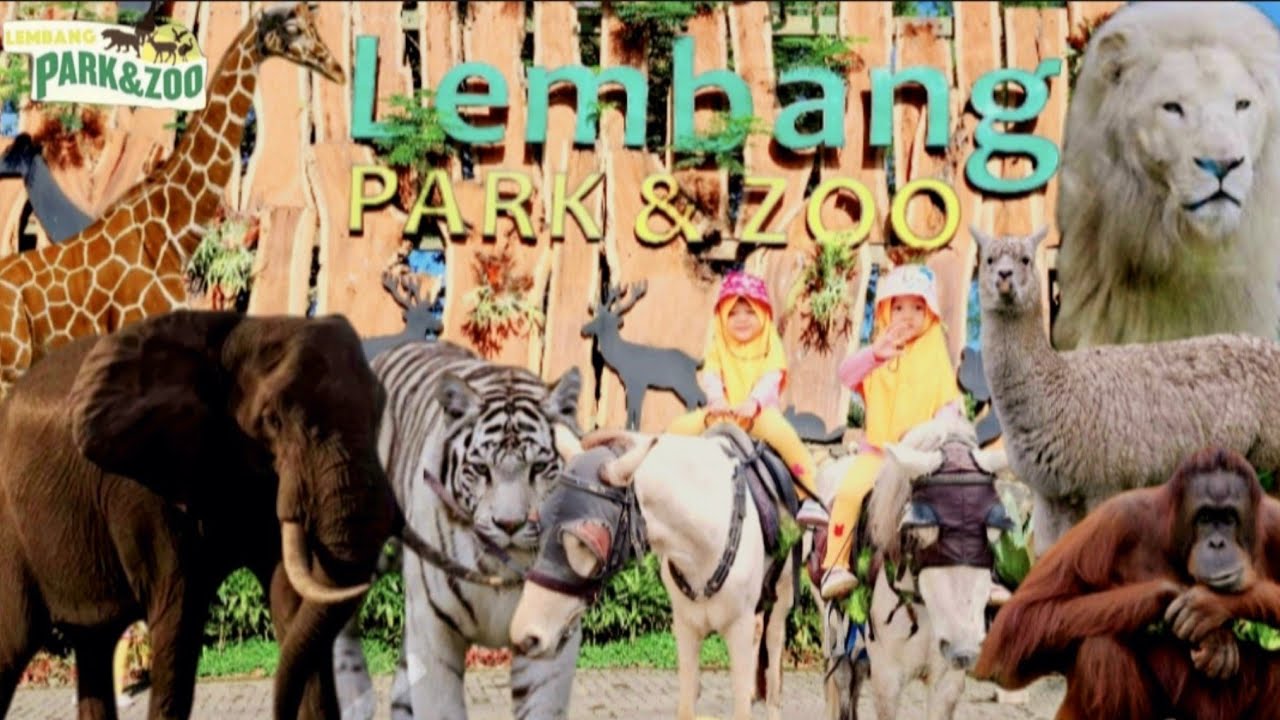 LEMBANG PARK & ZOO❗️REVIEW TERBARU‼️