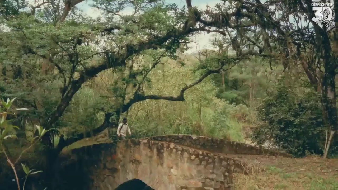 Consejo Directivo | CORPOCHIVOR