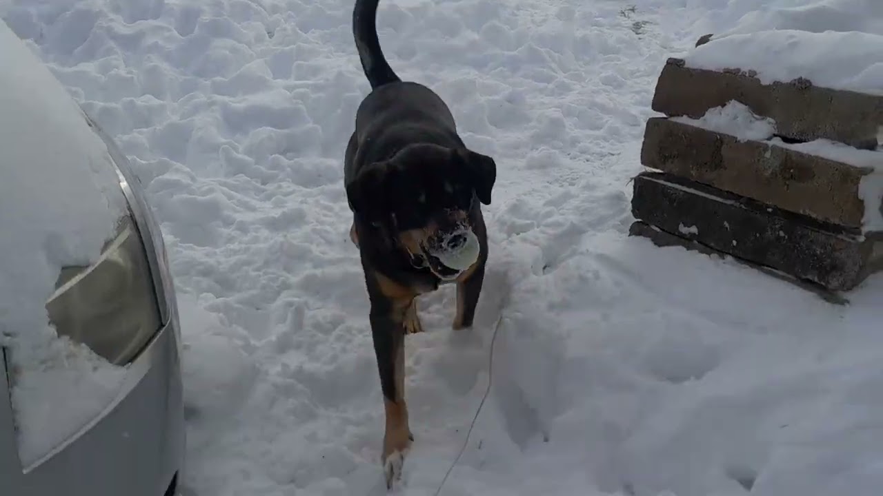 Max snow play after winter storm Fern