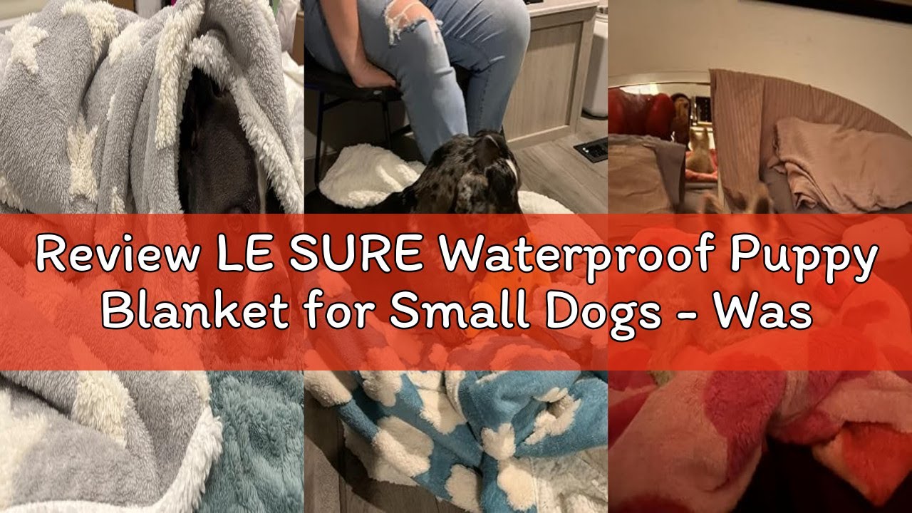 Review LE SURE Waterproof Puppy Blanket for Small Dogs - Washable Double Sided Dog Blankets with War