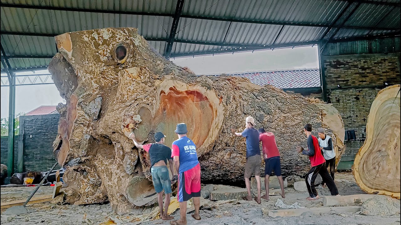 Большой лес трембези опасен для жителей горного села!! Пиломатериал I Sawmill