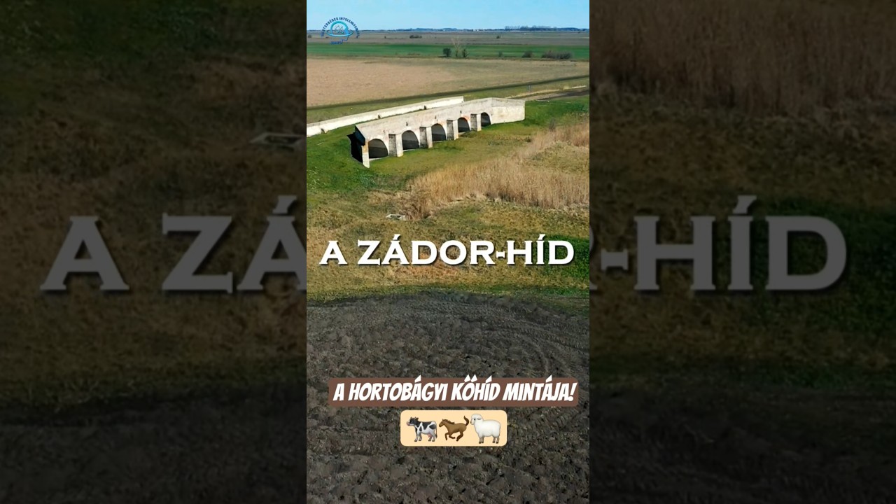 KARCAG 𓂃 ོ𓂃 Z&aacute;dor-h&iacute;d 💛 🌻 🌼