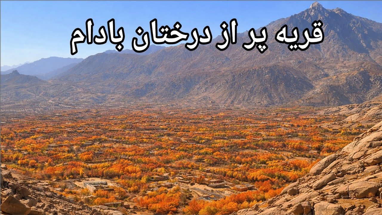 قریه پر از درختان بادام 