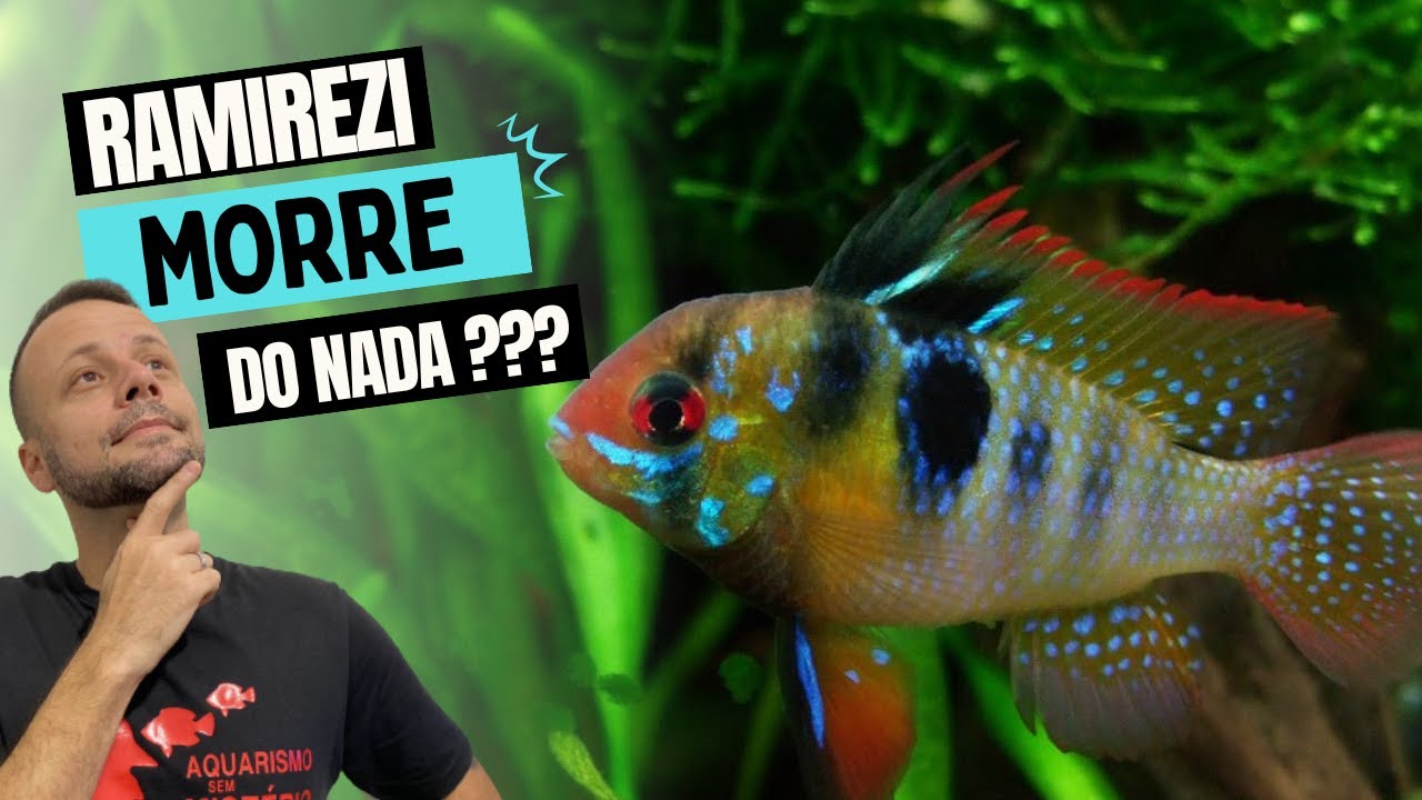 POR QUE MEU RAMIREZI MORRE DO NADA ??! RESPONDENDO DÚVIDAS!!