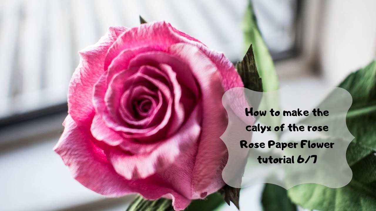 How to make the calyx of the rose: Paper Rose Tutorial 6/7