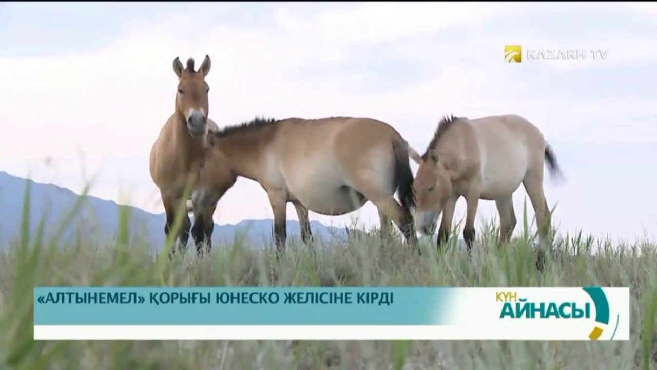«АЛТЫНЕМЕЛ» ҚОРЫҒЫ ЮНЕСКО ЖЕЛІСІНЕ КІРДІ