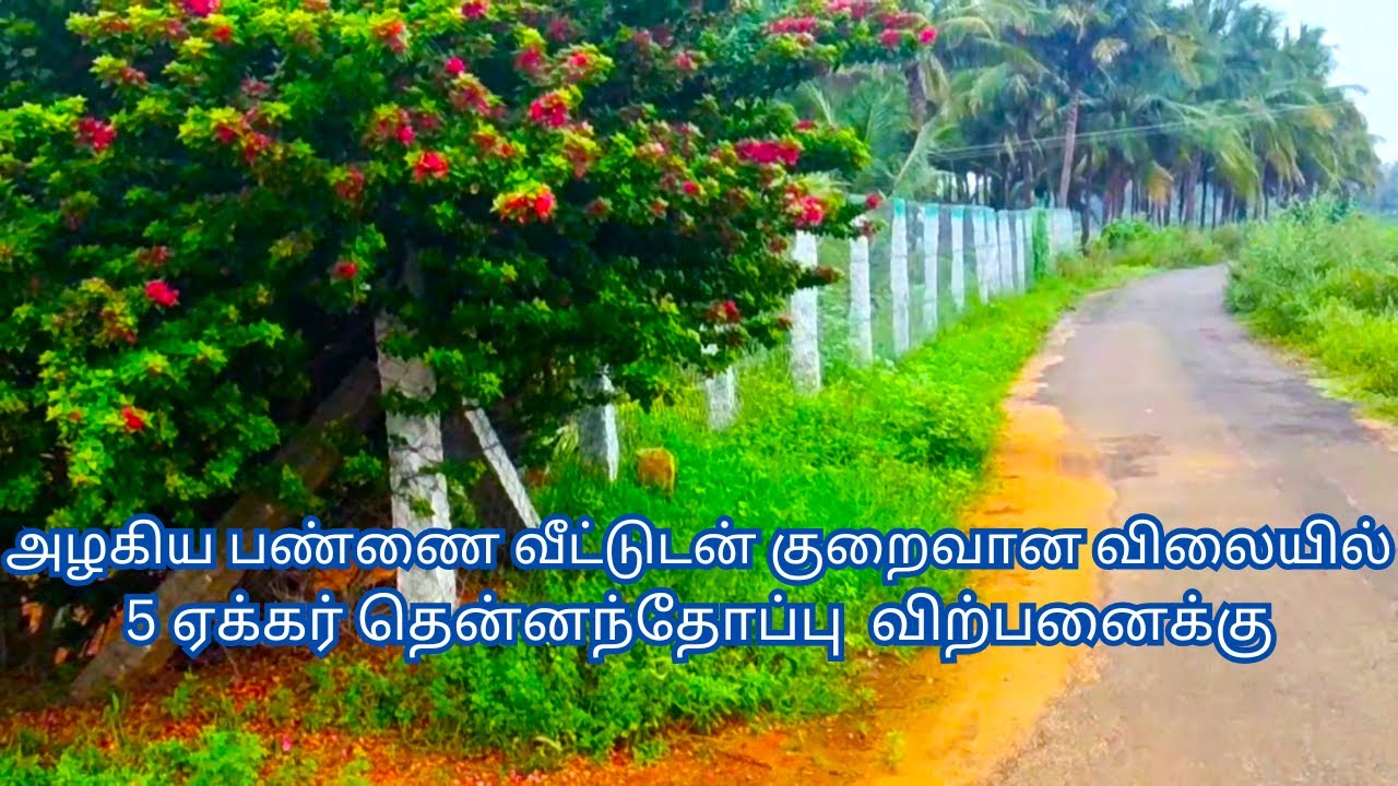 அழகிய பண்ணை வீட்டுடன் குறைவான விலையில் 5 ஏக்கர் தென்னந்தோப்பு  விற்பனைக்கு