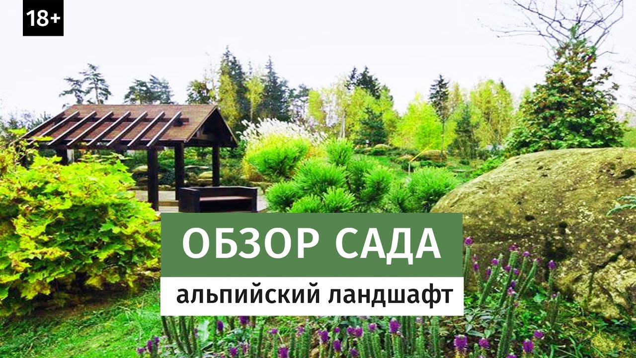 Сад Мегалиты Людмилы Бубаник. Альпийский ландшафт.