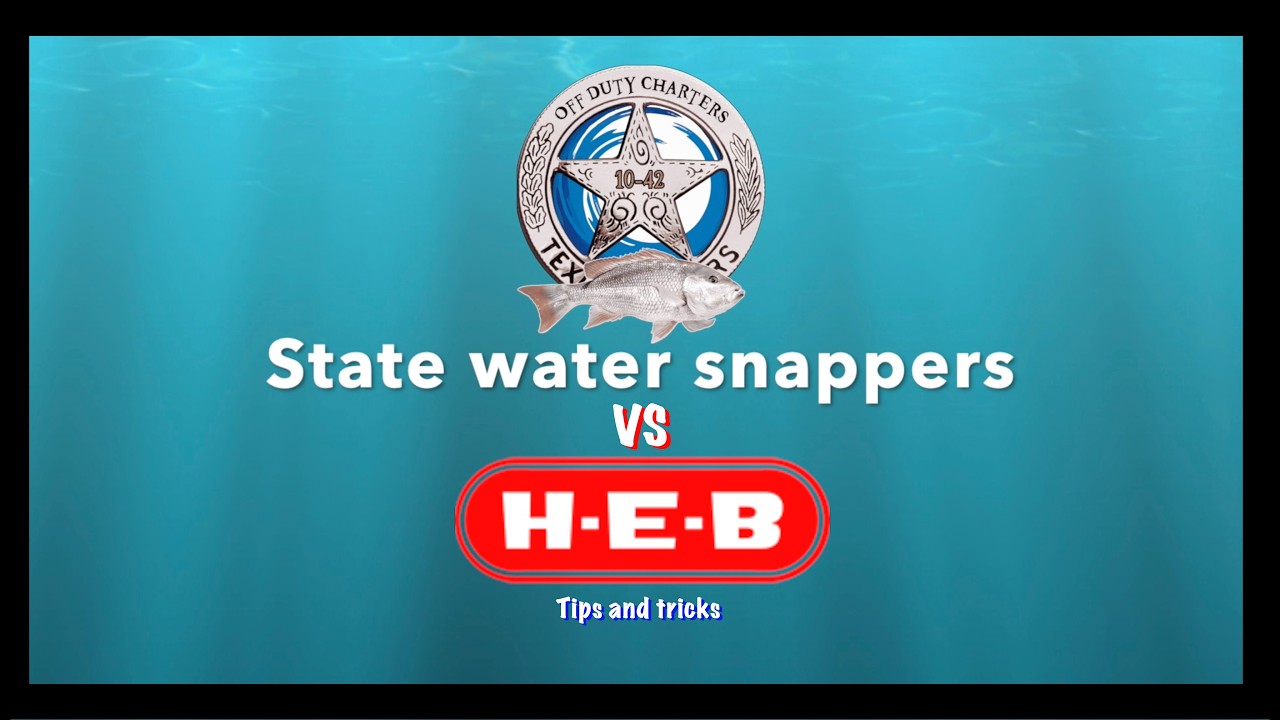 Порт-Мэнсфилд, команда State Water Snappers против H.E.B.