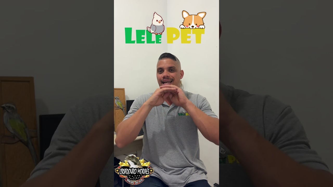 CRIADOURO MORAES (recado urgente) #passaros #trincaferrocanto #pets #passarinho #aves
