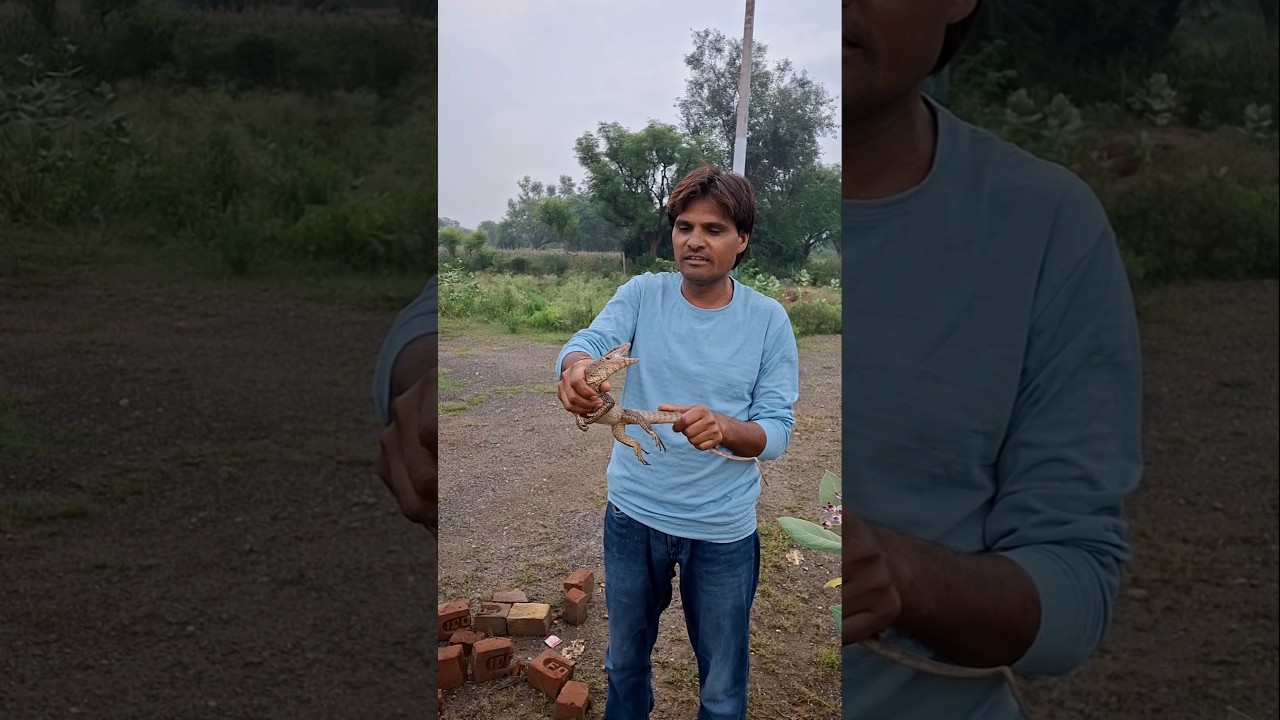 Monitor Lizard Rescue 🦎 #wildliferescue #monitorlizard