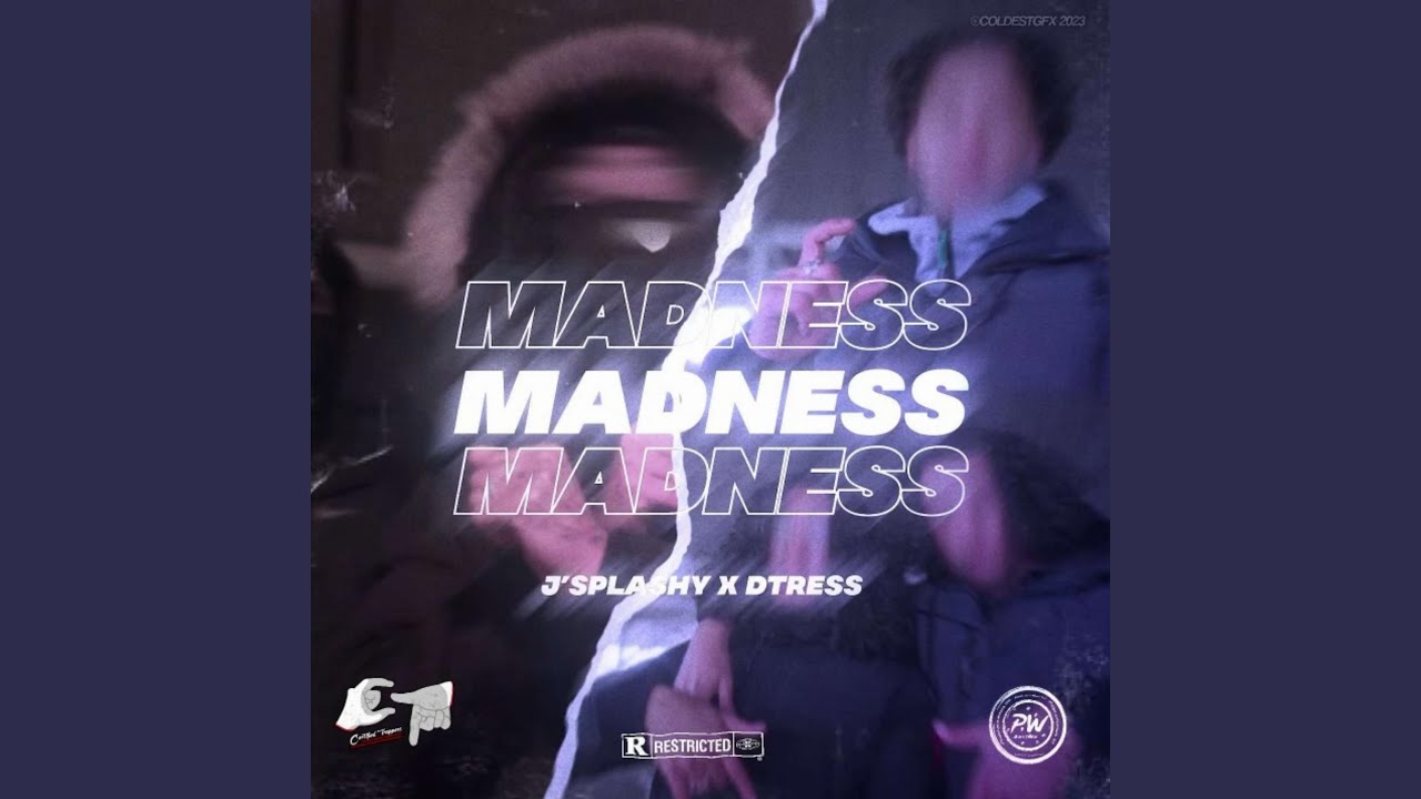 Madness (feat. Dtr3ss)