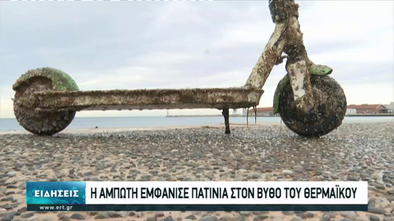 Ψάρεψαν ηλεκτρικά πατίνια από την παραλία της Θεσσαλονίκης | 14/3/2021 | ΕΡΤ
