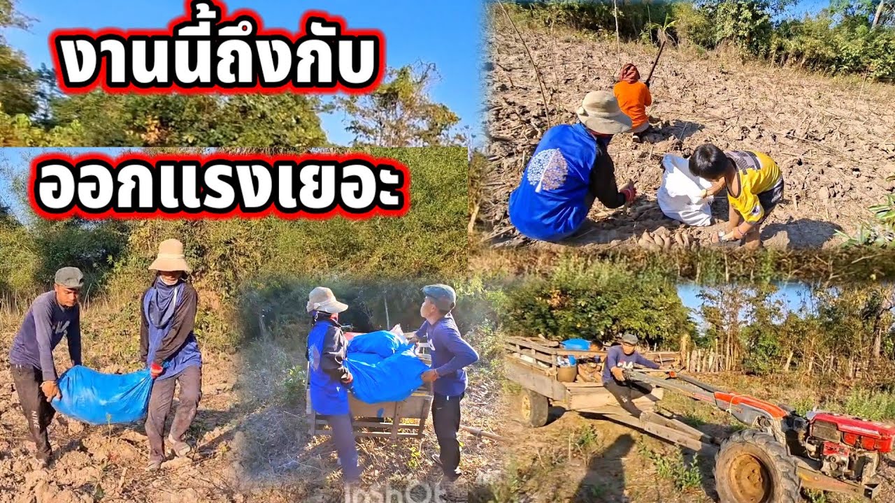 ล่าสุดพ่อน้องแฝดกับครอบครัวออกมาขนมัน‼️✌️✌️ 4 กุมภาพันธ์ ค.ศ. 2026