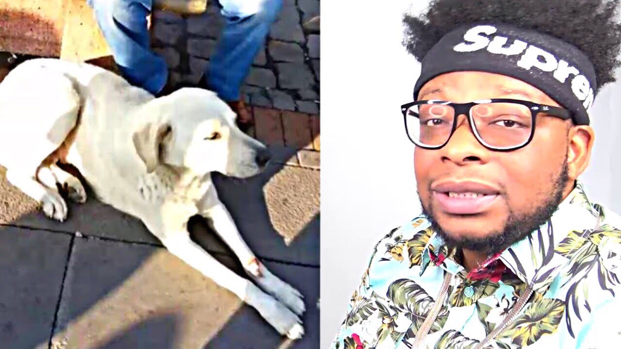 CATHOLIC REACTS TO Dog and prayer Azan Must See Quran!