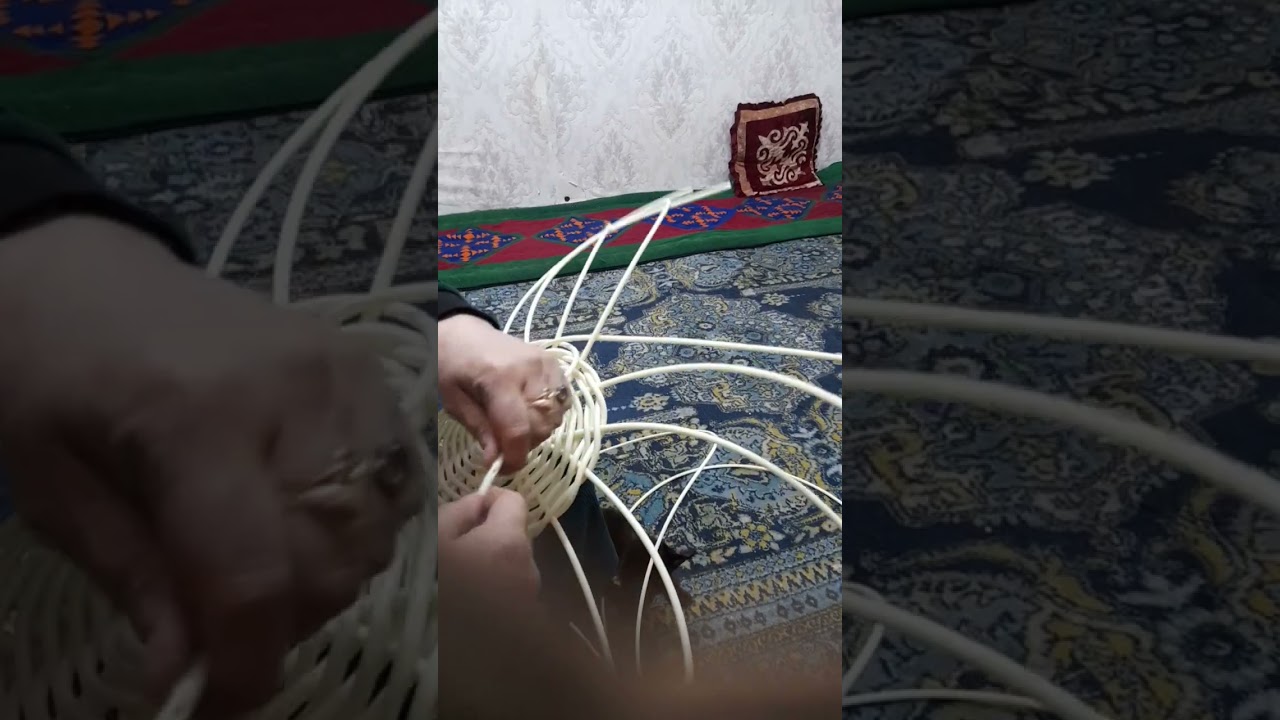 24 февраля 2026 г.