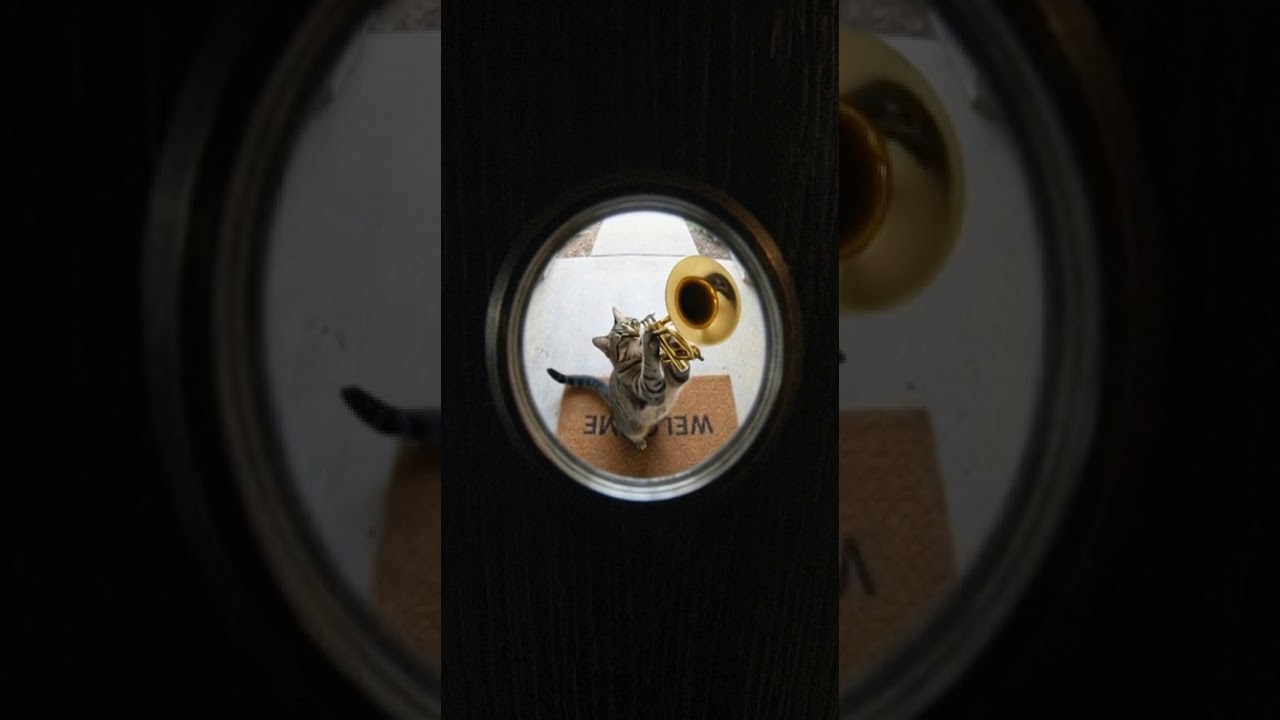 Frontdoor.  