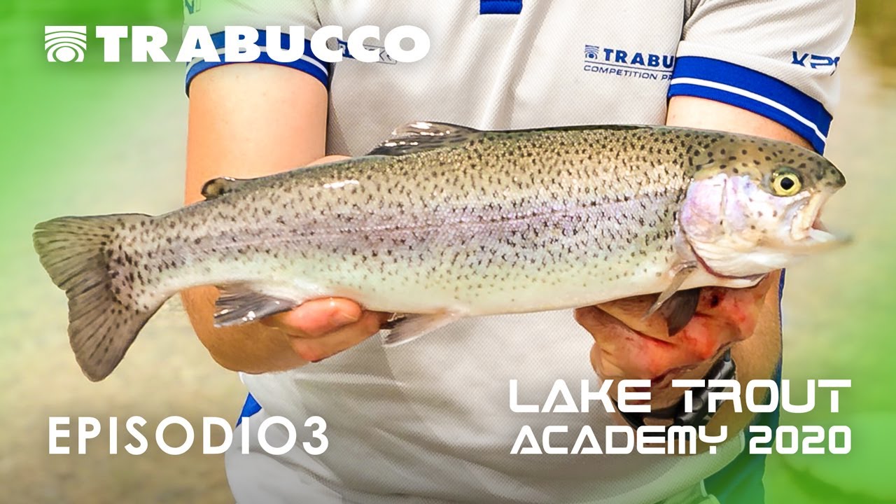 TROTE nel periodo caldo | LAKE TROUT Academy S2E3 |  @trabuccofishing