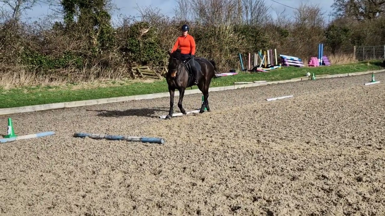 Intro 2 (2024) Chloe Hayward & Apollo