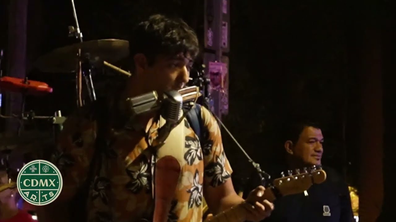 The Animals - House of the Rising Sun | Tonah el Hombre Orquesta | 2025 T2