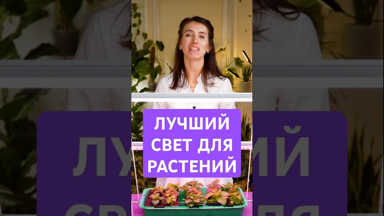 ОБЯЗАТЕЛЬНО включи свет для растений в ЭТО время! #растения #свет #лампа