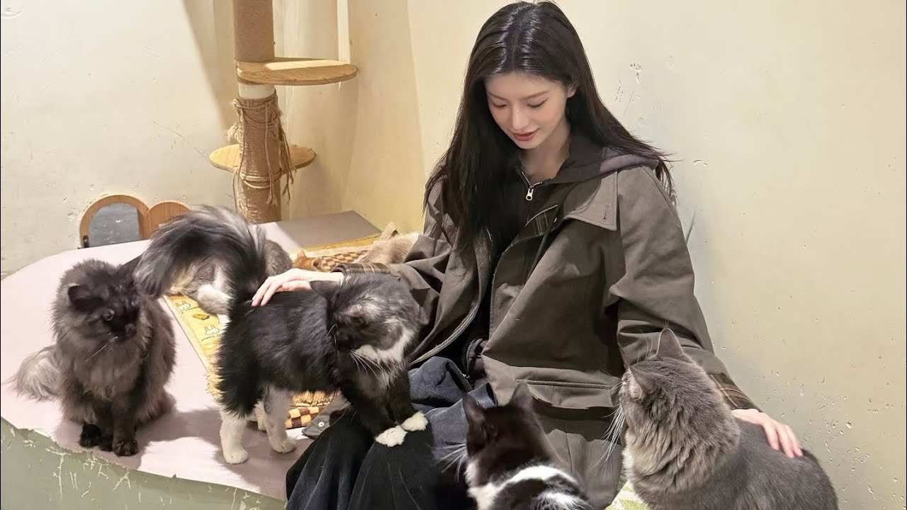 [ENG SUB] WANG YIREN Hengdian Vlog ~ 🐱 A healing cottage surrounding by cats 🐾