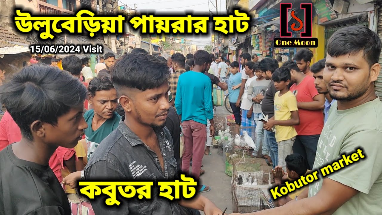 Uluberia pet market | Current Exotic Pigeon's Price Update at Uluberia 15/06/2024 Visit | One Moon