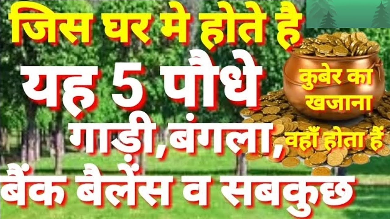 जिस घर में होते है यह 5 पौधे उस घर में गाड़ी,बंगला,बैंक बैलेंस और होता है सब कुछ!