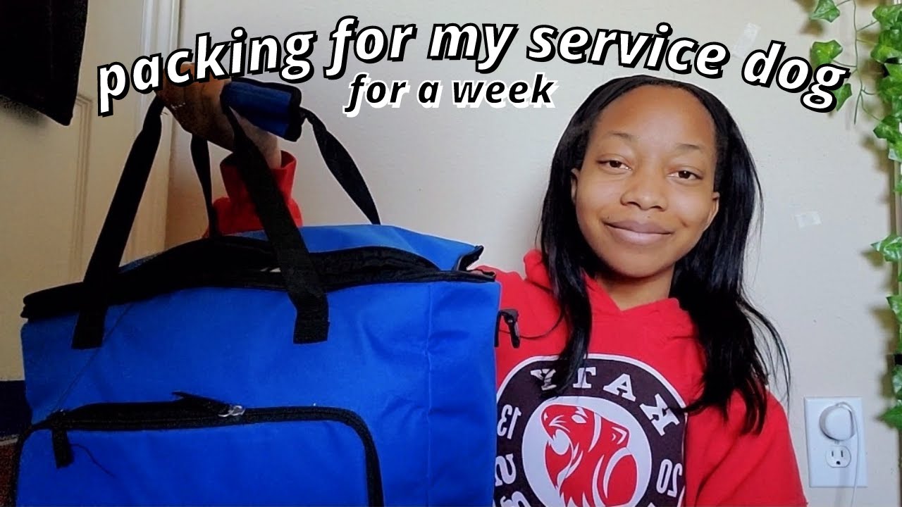 Packing for Vacation With My Service Dog | 2021